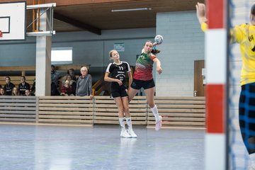 Bild 150 - wBJ HSG Kremperheide/Muensterdorf - HSG Joerl-Doppeleiche Vioel : Ergebnis: 34:23